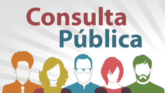 Consulta Pública